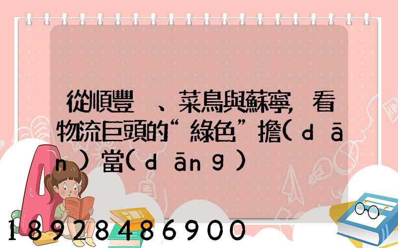 從順豐、菜鳥與蘇寧,看物流巨頭的“綠色”擔(dān)當(dāng)